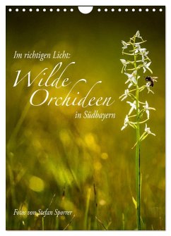 Im richtigen Licht: Wilde Orchideen in Südbayern (Wandkalender 2025 DIN A4 hoch), CALVENDO Monatskalender