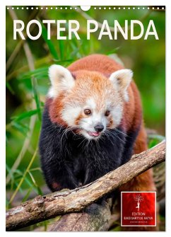 Roter Panda (Wandkalender 2025 DIN A3 hoch), CALVENDO Monatskalender