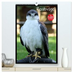 Raubvögel (hochwertiger Premium Wandkalender 2025 DIN A2 hoch), Kunstdruck in Hochglanz