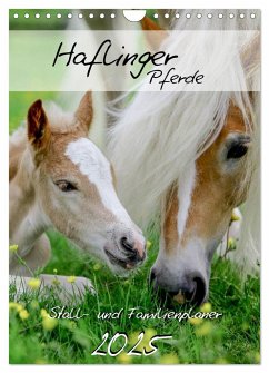 Haflinger Pferde - Stall- und Familienplaner 2025 (Wandkalender 2025 DIN A4 hoch), CALVENDO Monatskalender