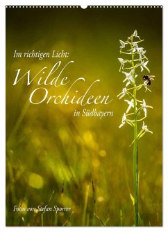 Im richtigen Licht: Wilde Orchideen in Südbayern (Wandkalender 2025 DIN A2 hoch), CALVENDO Monatskalender