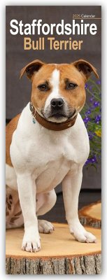 Staffordshire Bullterrier - Staffies 2025 - Avonside Publishing Ltd