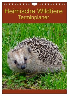 Heimische Wildtiere Terminplaner (Wandkalender 2025 DIN A4 hoch), CALVENDO Monatskalender - Calvendo;Kattobello