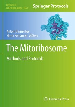 The Mitoribosome