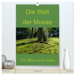 Die Welt der Moose. Ein Blick nach unten (hochwertiger Premium Wandkalender 2025 DIN A2 hoch), Kunstdruck in Hochglanz