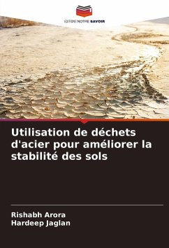 Utilisation de déchets d'acier pour améliorer la stabilité des sols - Arora, Rishabh;Jaglan, Hardeep