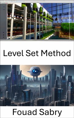 Level Set Method (eBook, ePUB) - Sabry, Fouad