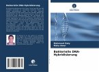 Bakterielle DNA-Hybridisierung