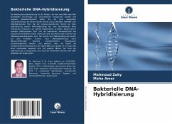 Bakterielle DNA-Hybridisierung - Zaky, Mahmoud;Amer, Maha