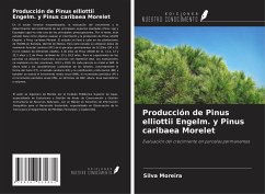 Producción de Pinus elliottii Engelm. y Pinus caribaea Morelet - Moreira, Silva