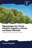 Proizwodstwo Pinus elliottii Engelm i Pinus caribaea Morelet