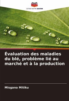 Évaluation des maladies du blé, problème lié au marché et à la production - Mitiku, Misgana