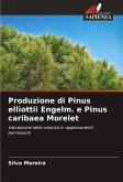 Produzione di Pinus elliottii Engelm. e Pinus caribaea Morelet