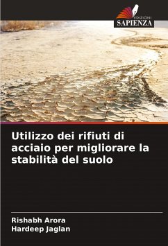 Utilizzo dei rifiuti di acciaio per migliorare la stabilità del suolo - Arora, Rishabh;Jaglan, Hardeep