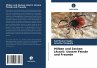 Milben und Zecken (Acari): Unsere... - Bild 1