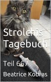 Strolchis Tagebuch - Teil 667 (eBook, ePUB)