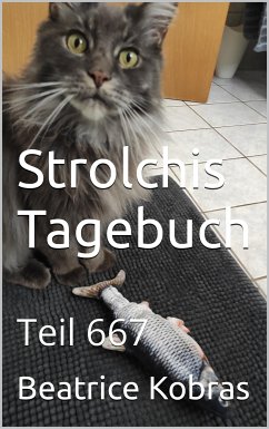 Strolchis Tagebuch - Teil 667 (eBook, ePUB) - Kobras, Beatrice