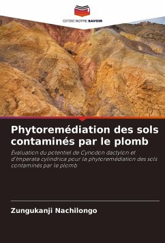 Phytoremédiation des sols contaminés par le plomb - Nachilongo, Zungukanji