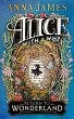 Alice With a Why - Bild 1
