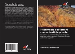 Fitorimedio dei terreni contaminati da piombo - Nachilongo, Zungukanji