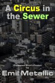 A Circus in the Sewer (eBook, ePUB)