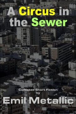 A Circus in the Sewer (eBook, ePUB) - Metallic, Emil