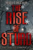 The Rise of Sturd (The Coal Elf Chronicles, #2) (eBook, ePUB)