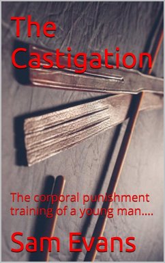 Cover The Castigation (eBook, ePUB)