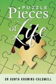 Puzzle Pieces of Life (eBook, ePUB)