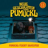 13: Pumuckl feiert Silvester (Neue Geschichten vom Pumuckl) (MP3-Download)