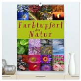 Farbtupferl der Natur (hochwertiger Premium Wandkalender 2025 DIN A2 hoch), Kunstdruck in Hochglanz