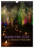 Waldlichter im Wildwald Vosswinkel 2025 (Wandkalender 2025 DIN A4 hoch), CALVENDO Monatskalender