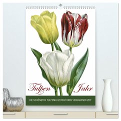 Tulpen - Jahr (hochwertiger Premium Wandkalender 2025 DIN A2 hoch), Kunstdruck in Hochglanz - Calvendo;Reek, Babette