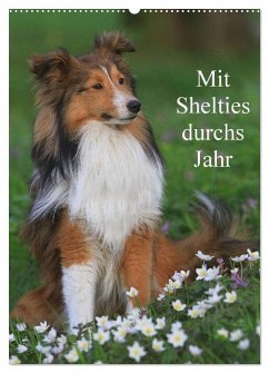 Mit Shelties durchs Jahr (Wandkalender 2025 DIN A2 hoch), CALVENDO Monatskalender