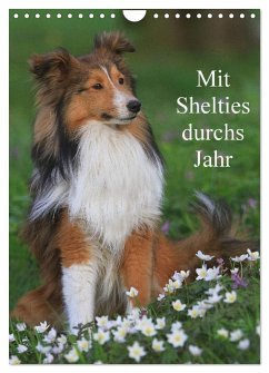 Mit Shelties durchs Jahr (Wandkalender 2025 DIN A4 hoch), CALVENDO Monatskalender