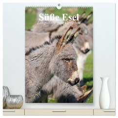 Süße Esel. Langohren zum Verlieben (hochwertiger Premium Wandkalender 2025 DIN A2 hoch), Kunstdruck in Hochglanz - Calvendo;Stanzer, Elisabeth
