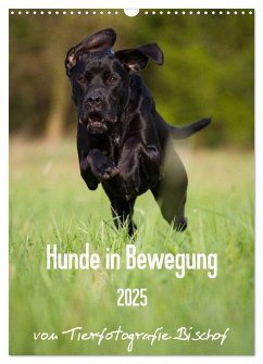 Hunde in Bewegung 2025 von Tierfotografie Bischof (Wandkalender 2025 DIN A3 hoch), CALVENDO Monatskalender