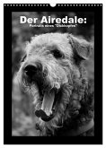 Der Airedale: Portraits eines "Dickkopfes" (Wandkalender 2025 DIN A3 hoch), CALVENDO Monatskalender