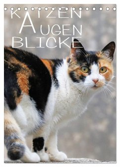 KATZEN AUGEN BLICKE (Tischkalender 2025 DIN A5 hoch), CALVENDO Monatskalender