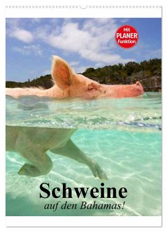 Schweine auf den Bahamas! (Wandkalender 2025 DIN A2 hoch), CALVENDO Monatskalender - Calvendo;Stanzer, Elisabeth