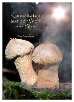 Kuriositäten aus der Welt der Pilze (Wandkalender 2025 DIN A2 hoch), CALVENDO Monatskalender