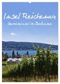 Insel Reichenau - Gemüseinsel im Bodensee (Wandkalender 2025 DIN A2 hoch), CALVENDO Monatskalender