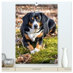 Entlebucher Sennenhunde begleiten Sie durch das Jahr (hochwertiger Premium Wandkalender 2025 DIN A2 hoch), Kunstdruck in Hochglanz - Calvendo;Schnellewelten