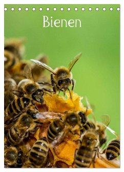 Bienen (Tischkalender 2025 DIN A5 hoch), CALVENDO Monatskalender - Calvendo;Bangert, Mark