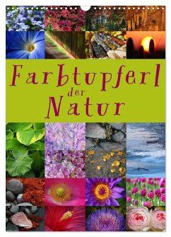 Farbtupferl der Natur (Wandkalender 2025 DIN A3 hoch), CALVENDO Monatskalender