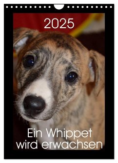 Ein Whippet wird erwachsen (Wandkalender 2025 DIN A4 hoch), CALVENDO Monatskalender