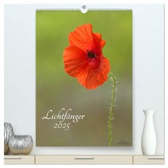 Lichtfänger (hochwertiger Premium Wandkalender 2025 DIN A2 hoch), Kunstdruck in Hochglanz