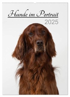 Hunde im Portrait (Wandkalender 2025 DIN A2 hoch), CALVENDO Monatskalender - Calvendo;Bollich, Heidi