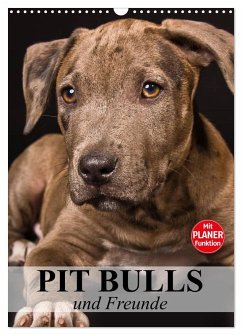 Pit Bulls und Freunde (Wandkalender 2025 DIN A3 hoch), CALVENDO Monatskalender