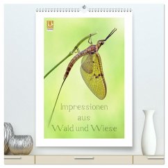 Impressionen aus Wald und Wiese (hochwertiger Premium Wandkalender 2025 DIN A2 hoch), Kunstdruck in Hochglanz